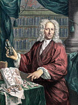 Portait of Albertus Seba, the Dutch pharmacist and collector of natural rarities, age 66 (b. May 12th 1665 - d. May 2nd 1736). Portrait with tinting, showing off rarities from his collection acquired...