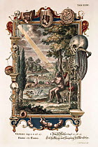 1731 Physica Sacra (Sacred Physics) by Johann Scheuchzer (1672-1733). Creation of Man from Dust (Homo ex humo) folio copper engraving with later hand colouring drawn by a team of engravers under the d...