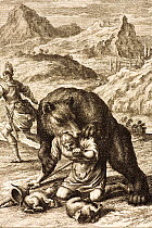 European Brown Bear (Ursos arctos arctos) kills hunter who has taken her cubs. 1731 Physica Sacra (Sacred Physics) by Johann Scheuchzer (1672-1733) bear attack, folio copper engraving drawn by a team...