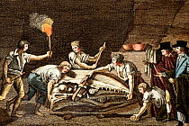 1798 illustration of people excavating Mosasaur (Mosasaur hoffmanii) skull; copperplate engraving with its original handcolouring from Volume III of J.L Bertuch's 'Bilderbuch fur Kinder'. The Maastric...