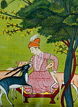 Illustration of man with Blackbuck (Antilope cervicapra). An Indian Rajput style miniature dating to 19th century showing 'Ahimsa'. Ahimsa is a tenet of the Indian Religions (Hinduism, Buddhism and Ja...