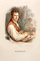 Portrait of Friedrich Alexander von Humboldt (14th September 1769 - 6th May 1859), Lizars' Steel engraving c 1830 with hand colouring after the 1806 painting by Friedrich Weitsch. A German explorer an...