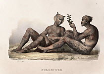 Early Lithographic print by Carl Brodtmann from Dr. Shinz, 'Naturgeschichte und Abbilldungen des Menschen der verschiedenen' 1827, with hand colouring. A pair of Marquesas men with traditional tribal...