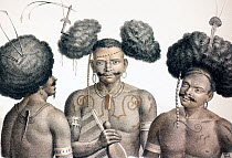 Early Lithographic print by Honegger drawn by Fuchs, from Dr. Shinz, 'Naturgeschichte und Abbilldungen des Menschen der verschiedenen' 1827/1840, with hand colouring. A trio of Papua New Guinea men wi...