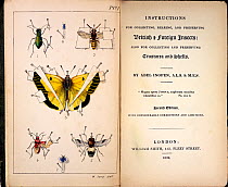 Frontis colour plate by Spry, and title 'Instructions for Collecting, Rearing, and Preserving British and Foreign Insects' by Abel Ingpen. Published by William Smith, London. Second edition 1839. The...