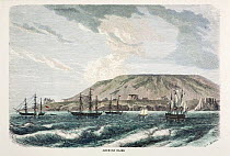 Illustration of 'Albemarle Island' (now Isabela) engraving by Huyot and Bepard facing page 520 in 'All Around the World' published in 1872 by William Collins & Son. Shows the large caldera of a volcan...