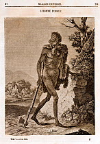 Engraving of an ape-like cave man accompanying an article by Boitard in the French 'Magasin Universel' (April 1838). This is the earliest reconstruction of a pre-historic human. It is striking that it...