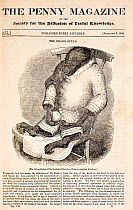 Illustration of Orangutan (Pan pygmaeus), January 1838, Jenny the first Orangutan in London zoo. Full publication details in image. On 28 March 1838, Charles Darwin came to the London Zoo to visit Jen...