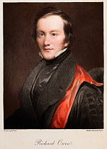 Portrait of Richard Owen (20, July 1804 - 18 December 1892), 1894 engraving from an 1840s painting by Pickersgill, later hand colouring. Owen was a comparative anatomist and palaeontologist. He coined...