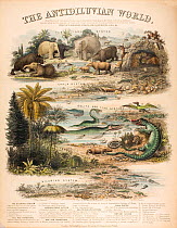 A rare British broadsheet illustration with contemporary hand colouring, drawn and engraved by John Emslie and published by James Reynolds in 1849. It shows reconstructions of extinct creatures in the...