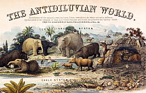 A rare British informational broadsheet illustration with contemporary hand colouring, drawn and engraved by John Emslie and published by James Reynolds in 1849. It shows reconstructions of extinct cr...