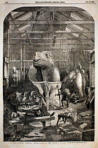 The Illustrated London News, December 31st, 1853, page 600. 'The Extinct Animals Model-Room, at the Crystal Palace, Sydenham' by P.H. Delamotte. Benjamin Waterhouse Hawkins made the first full size re...