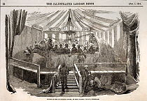 1854 Illustrated London News, January 7th 1854, page 22: dinner in the iguanodon model, at the Crystal Palace, Sydenham'. Hosted 31st December 1853 by the Crystal Palace model maker Benjamin Waterhous...