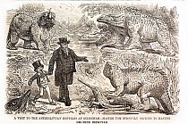 1855 Cartoon from Punch's Almanac of that year, ascribed to John Leech, captioned 'A visit to the antediluvian reptiles at Sydenham - master Tom strongly objects to having his mind improved'. Clockwis...