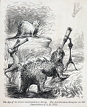 Illustration from Punch 41 (1861) page 34, July. 'The age of the comet ascertained to a nicety. The antediluvians recognise an old acquantance of A.M. 1372'. Prehistoric reptiles (modelled after Water...
