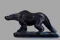 1854 Megalosaurus model by Waterhouse Hawkins. Hawkins attempted to scientifically reconstruct dinosaurs for the Crystal Palace Geological Gardens at Sydenham 1852-1855. He was helped by Richard Owen,...