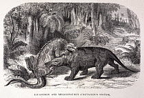 Illustration of iguanodon and megalosaurus by Riou in the revised English 1867 translation of Louis Figuier's 'Earth before the Deluge' 1863. The figure shows impressions after the collaboration betwe...