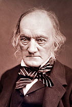 Photographic portrait of Richard Owen (20, July 1804- 18 December 1892). Woodburytype photograph by Lock & Whitfield published in 'Men or Mark' 1878. Owen was a comparative anatomist and palaeontologi...