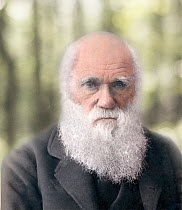 Hand coloured photograph of Darwin in old age by Paul Stewart based on the 1879 photograph by Elliot and Fry. According to Gene Kritsky, who maintains an archive of Darwin photographs, the Elliot and...
