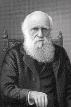 High resolution steel engraving portrait of Charles Darwin by C.Cook, printed by William Mackenzie, the Scottish printer and publisher in 1899. It appears in James Taylor's 'The Victorian Empire' and...