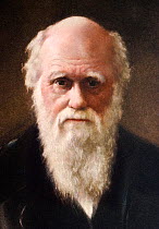 1881 portrait of Charles Robert Darwin (12 February 1809 - 19 April 1882) English Naturalist and author of the Origin of Species. 1922 Hand coloured portrait aquatint of Darwin by G. Sidney Hunt after...