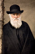 Hand coloured image of Charles Darwin by Paul Stewart derived from the photograph of Darwin taken by Elliot and Fry in 1881 shortly before his death.