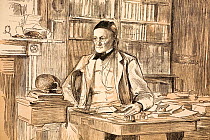 Portrait of Richard Owen (20, July 1804- 18 December 1892); 1883 portrait in his home study for The Graphic magazine, in the year he retired from the BMNH. Owen was a comparative anatomist and palaeon...