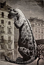 Illustration from Flammarion's 'Le Monde avant la Creation de l'Homme'. This is the first dinosaur (Iguanodon) reconstruction to put them in a modern context to show their size. In this case getting a...