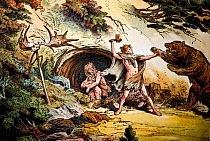 Illustration of cave man protects his mate and child from a marauding cave bear. He wields a hafted axe (from a later period) before a trophy skull of irish elk. Vivid colour lithograph from 'Dr. Schu...