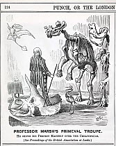 Cartoon from Punch, September 13th 1890 showing Professor Othniel Marsh standing atop a triceratops skull, with some of his famous discoveries before him. Top left Pteranodon (Marsh 1870) the first pt...