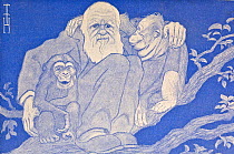 1909 illustration of Charles Darwin in tree with young chimpanzee (left) and orangutan (right) by the German artist Thomas Theodor Heine in the periodical 'Simplicissimus' 15th February 1909. This for...