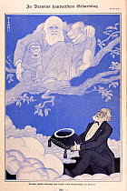 1909 'On Darwin's hundredth Birthday' Illustration of Charles Darwin in heavenly tree with young chimpanzee (left) and orangutan (right). Chromolithograph by the German artist Thomas Theodor Heine in...