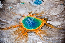 Aerial view of Grand Prismatic thermal spring in Yellowstone National Park, USA. The bright colours are natural, coming from thermophile bacteria in the water. People can be seen walking on the raised...