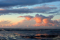 Sunset views looking North West from Meols promenade, Liverpool Bay UK, November 2011.