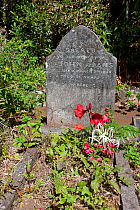 Grave of John Adams, Pitcairn Island, Pitcairn Islands, South Pacific 2010