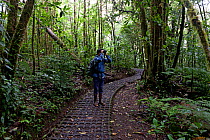 Tourist birdwatching in Costa Rican cloud forest, Selvatura Park, Monteverde, Costa Rica. January 2011