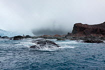 Elephant Island, with memorial at Point Wild to Captain Luis Pardo Villalon of Chilean ship, The Yelcho, which on 30 August 1916 rescued Shackleton's party left on Elephant Island, Antarctica, Souther...