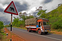 An elephant road warning sign. Many roads were first built roughly following the well-worn pathways of migrating elephants. Today, numerous highways laden with lorries crisscross these ancient migrato...