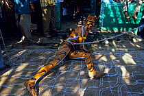 Men painted in the stripes of a tiger, dance through the streets of towns and villages paying homage at temples along the way as part of Huli Vesha, Tiger Dance, Western Ghats, Southern India