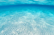 Sand ripples, The Sandbar, North Sound, Grand Cayman, Cayman Islands, British West Indies, Caribbean Sea.