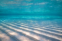 Underwater shallow sand bar with ripples, North Sound, Grand Cayman, Cayman Islands, British West Indies. Caribbean Sea.