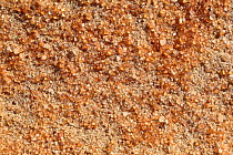 Sand corns, close-up, Empty Quarter, sand desert near Liwa, Abu Dhabi Emirate, UAE, December 2010.