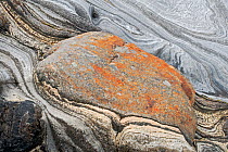 Dolerite dyke surrounded by marble, Engabreen Glacier, Saltfjellet-Svartisen National Park, Nordland, Norway, August 2006