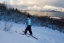 Child cross country skiing, Sandnessjoen (Donna Island in distance), Alstahaug, Helgeland, Nordland, Norway, February 2009