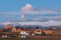 Farm with plume from the Eyjafjallajokull volcano rising in the distance, Iceland, April 2010