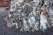 Basalt formations on the coast, Djupalonssandur, Snaefellsjokull National Park, Snaefellsnes, Iceland, February 2011