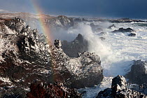 Rainbow in spray from waves beating on coast, Djupalon, Snaefellsjokull National Park, Snaefellsnes peninsula, Iceland, March 2011