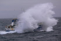 North Sea trawler 'Harvest Hope' engulfed in seaspray, Europe, February 2012. All non-editorial uses must be cleared individually.