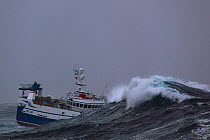 Fishing vessel 'Harvester' battling with the elements on the North Sea, Europe, December 2011. Property released.