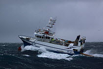 Fishing trawler 'Harvester' operating in difficult conditions on the North Sea, Europe, December 2011. Property released.